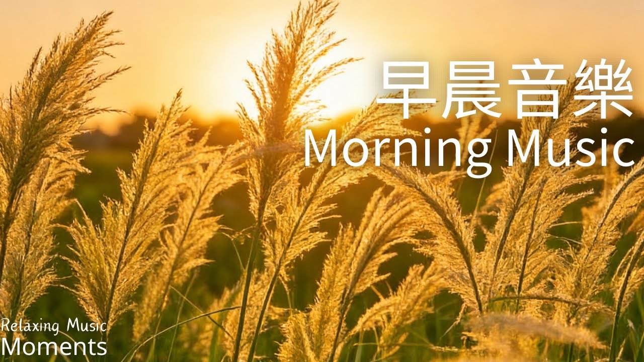 🌤️清晨微光𥚃，你也能像蘆葦般，在平凡中綻放力量，｜早晨音樂｜放鬆音樂｜柔和鋼琴音樂 水晶音樂｜Relaxing Music1 Hour｜ Morning Music