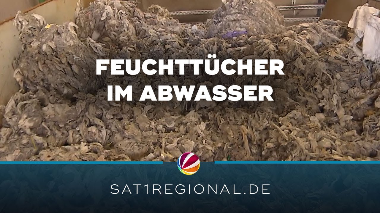 Feuchttücher im Abwasser: Umweltminister will Hersteller zur Kasse bitten