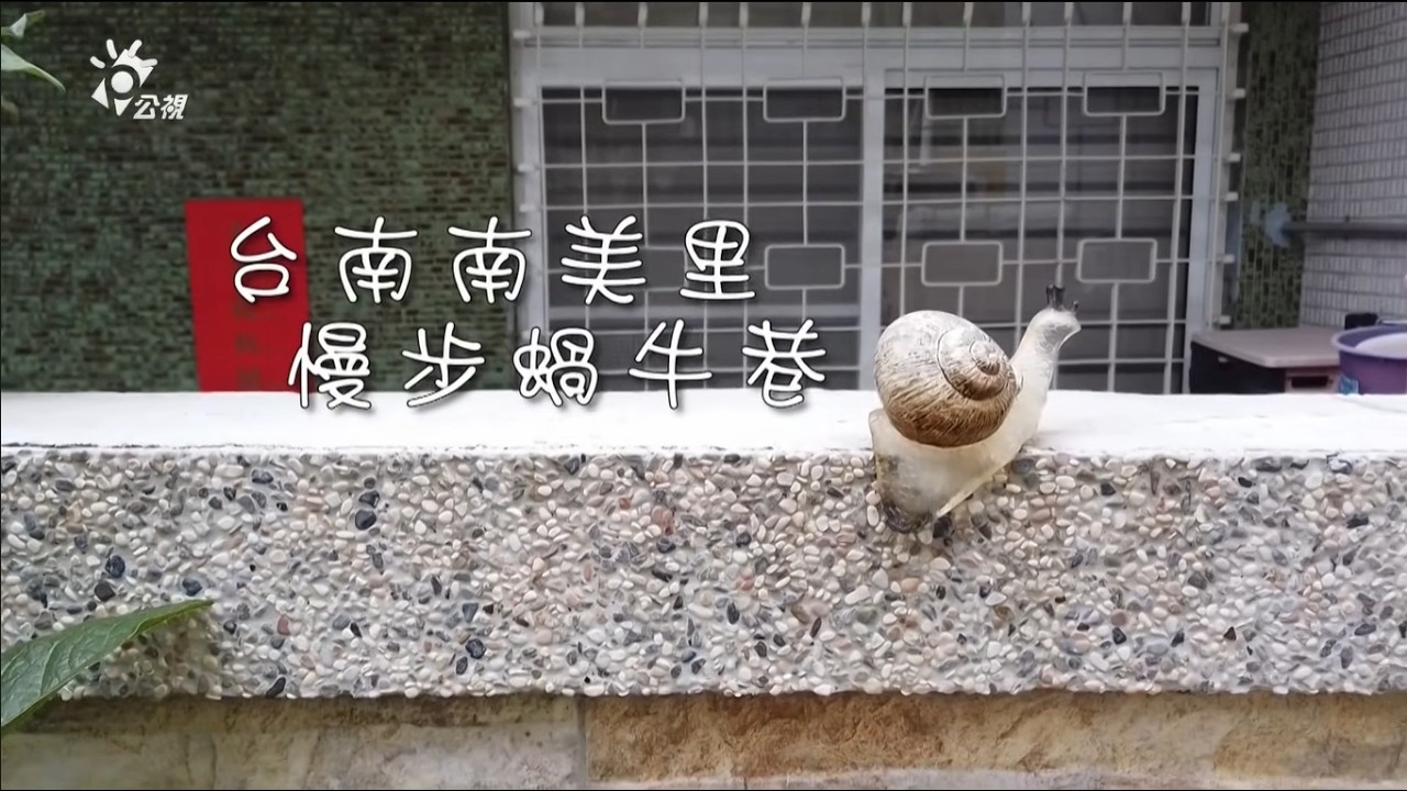 2025/07/25 公共電視 在地旅行【台南南美里 慢步蝸牛巷】