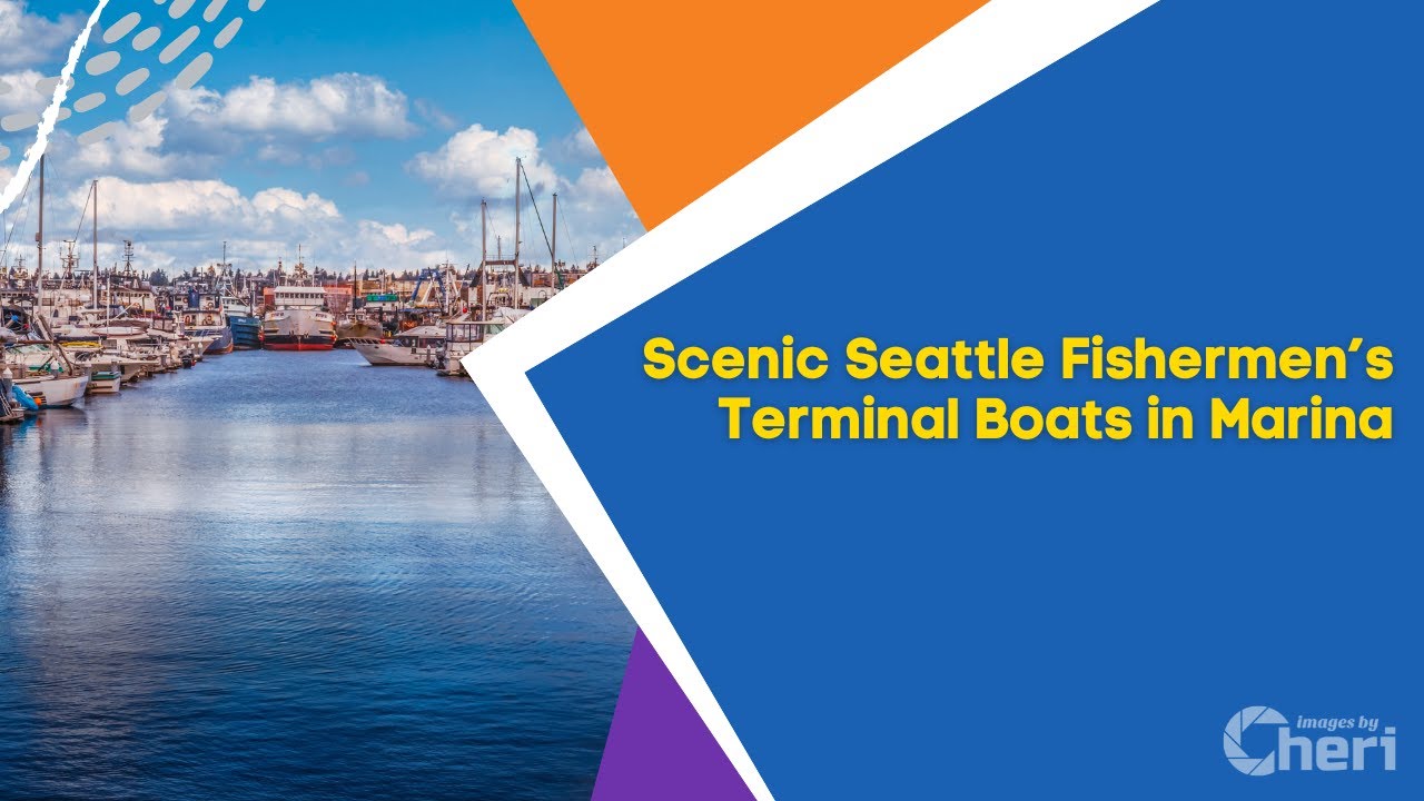Scenic Seattle Fishermen’s Terminal Boats in Marina