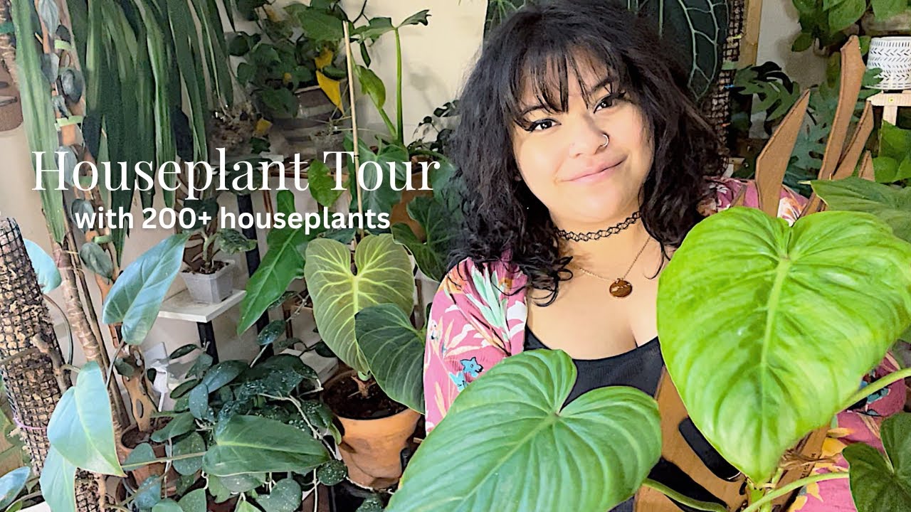 Houseplant Tour Spring 2023 - That one house with all the plants