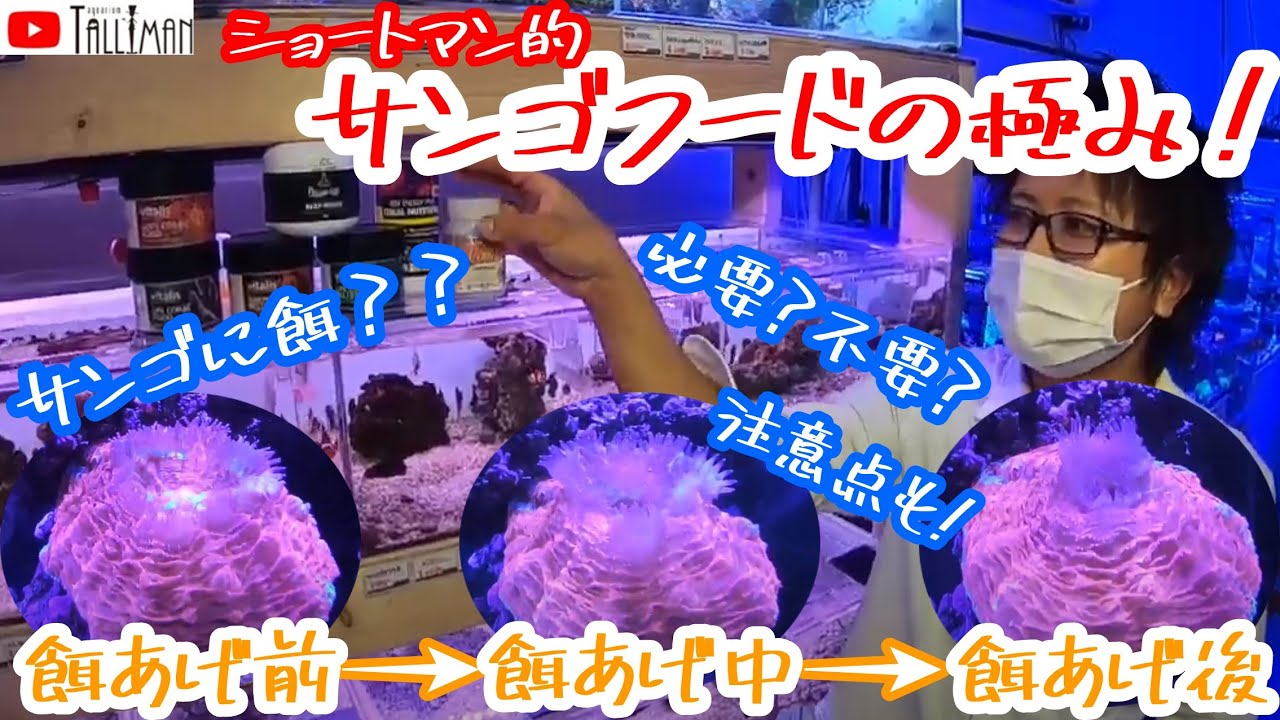 ショートマン的サンゴフードの極み！