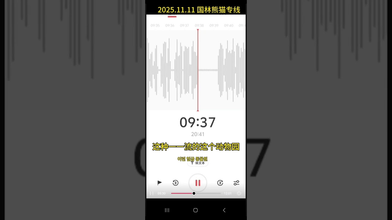 11.11푸바오 이모들이 중국 국가임업국에 전화했어요.