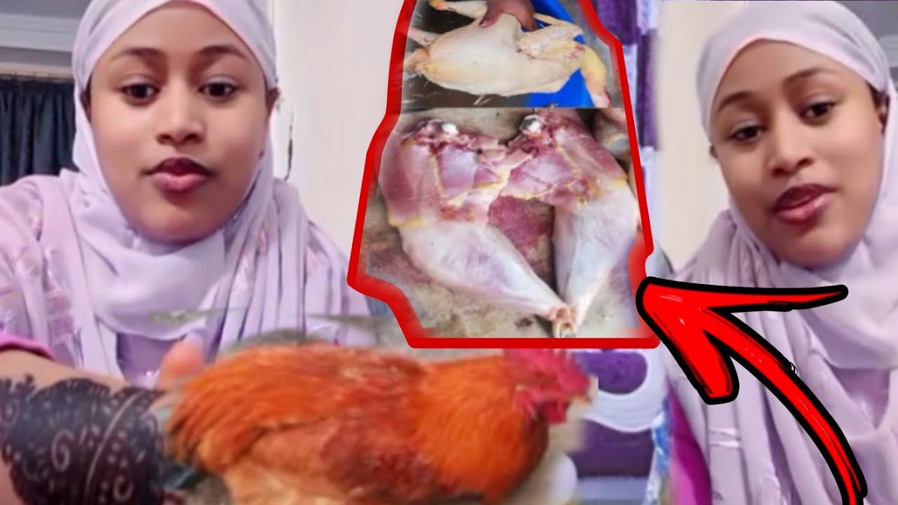 Akkati Makin Lukkuu Qala Jirtu Biliti 12 Basun Akkas Gotee Maki 