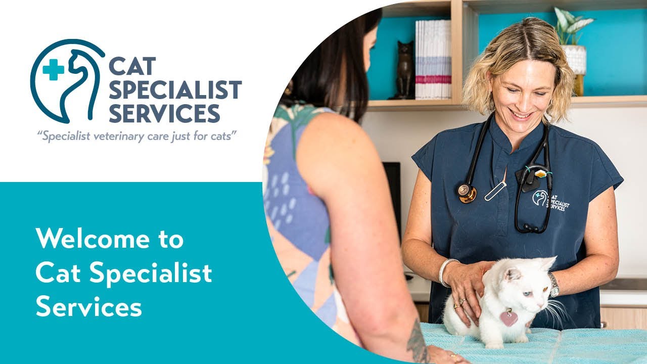 About Cat Specialist Services - Specialists in Feline Medicine