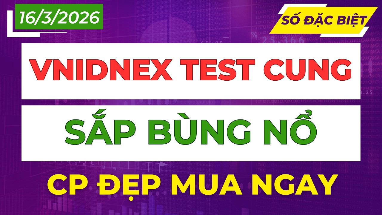 Thị Trường Test Cung Chuẩn Bị Bùng Nổ: Top Cổ Phiếu Mua Ngay Ngày Mai Đón Sóng!