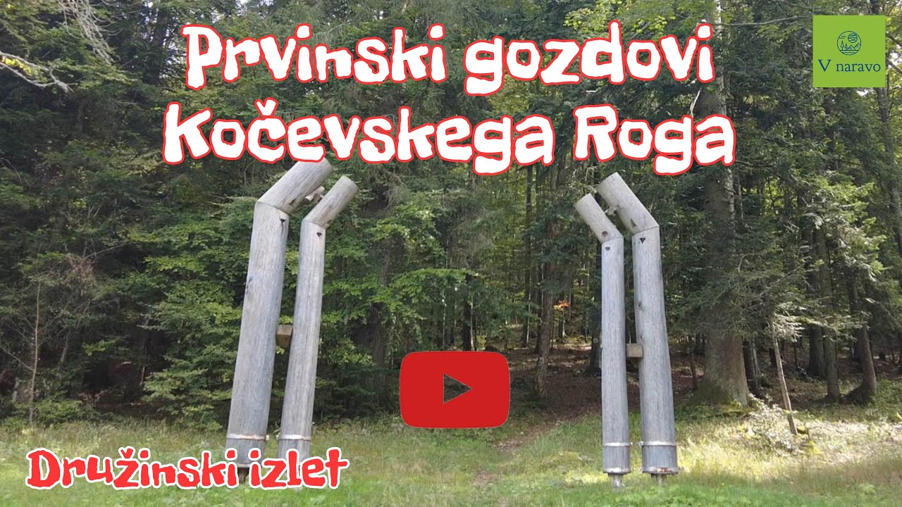Baza 20 in Kočevski Rog