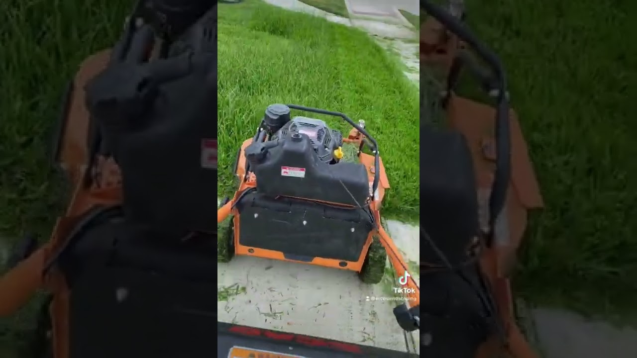 overgrown Yards, thick grass No Problem with the Scag 30 inch walk behind mower