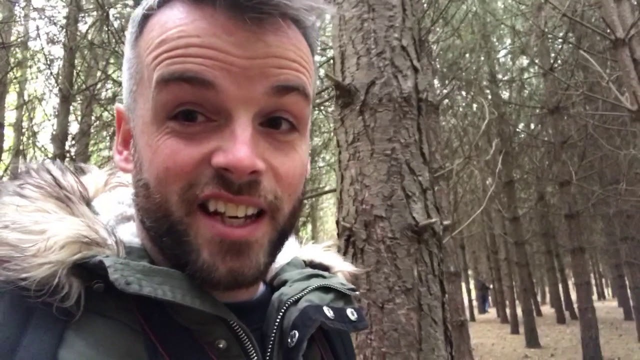 Britain's Rarest Mammals? Red Squirrels at Formby