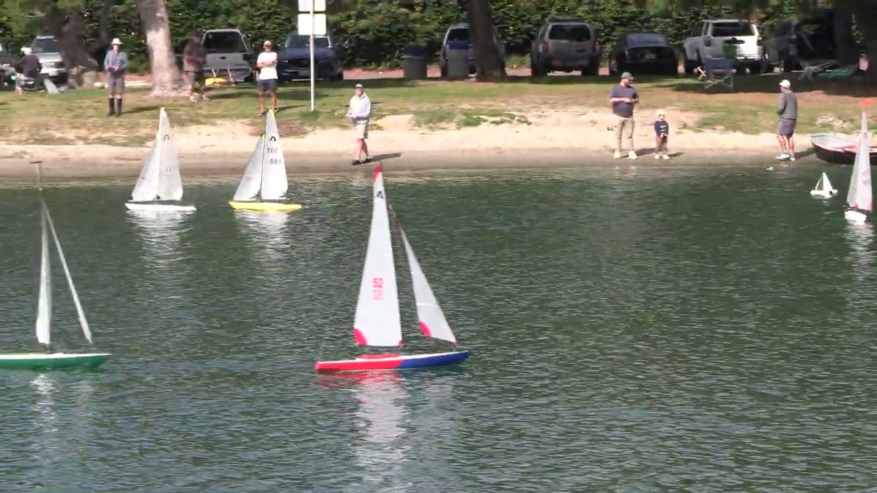 Points Racing Soling & ODOM. 14.02.2026