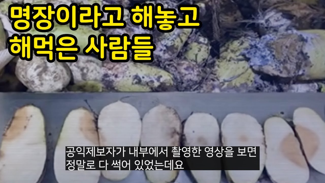 주작하다가 딱걸렸던 명장들