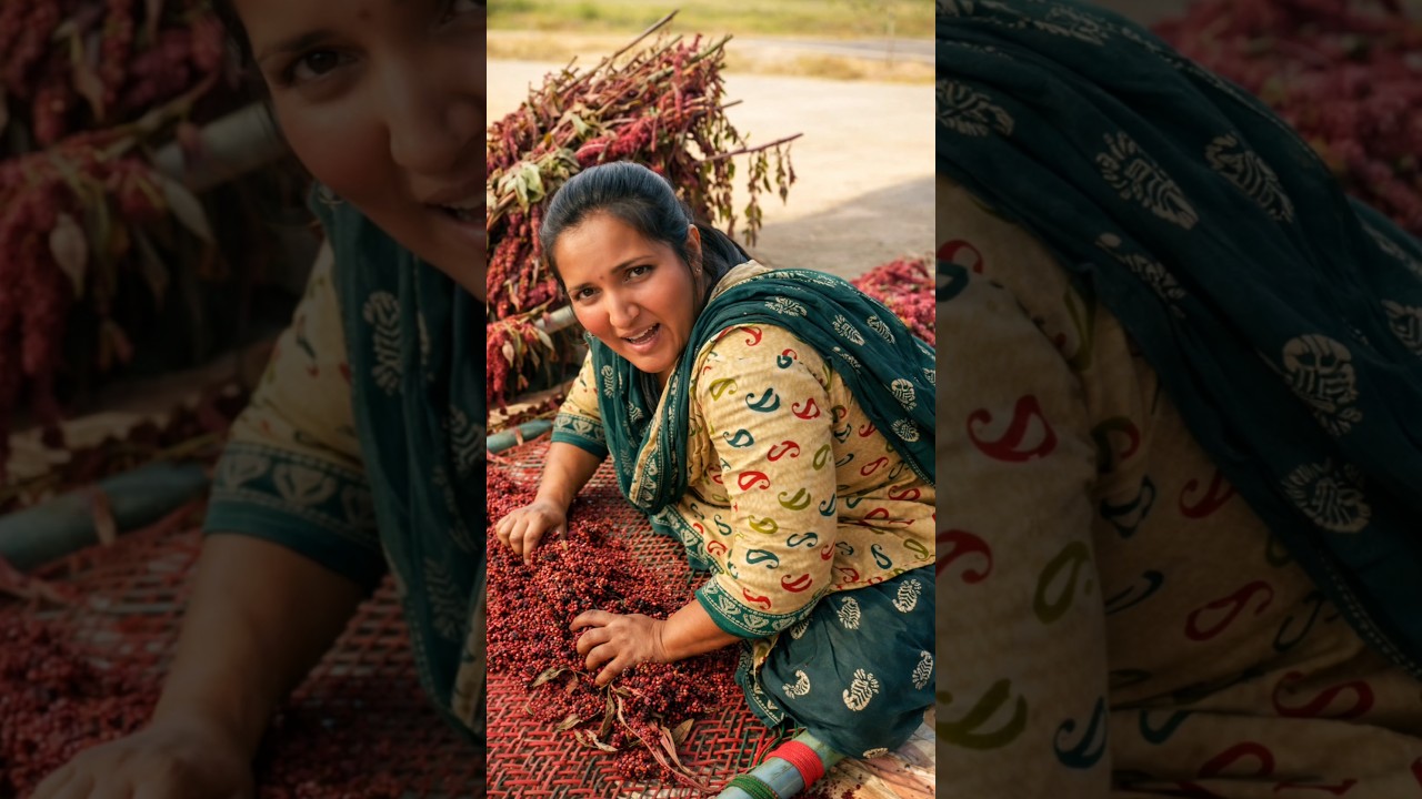 What Is This Red Crop Farmers Are Rubbing On A Bed? By Shiksha SQUARE