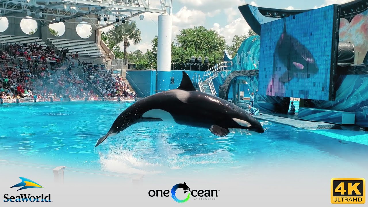 [4K] ONE OCEAN • SEAWORLD ORLANDO