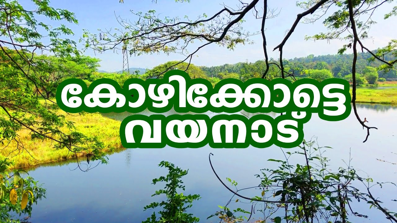 MAVOOR # WETLANDS # KOZHIKODE