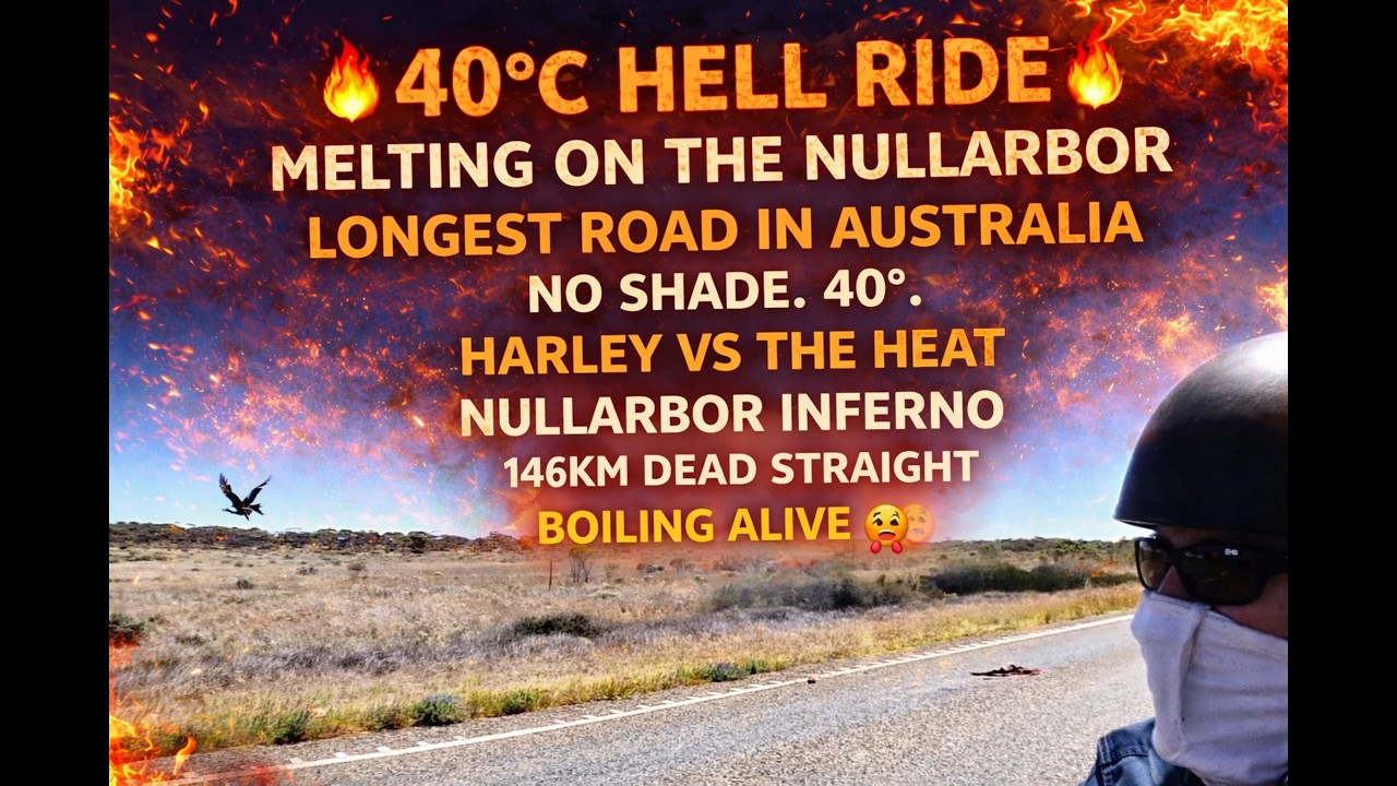 🦅 Outback Heat Melting, Roaring Harley Davidson & a Wedge-Tailed Eagle | Nullarbor outback crossing