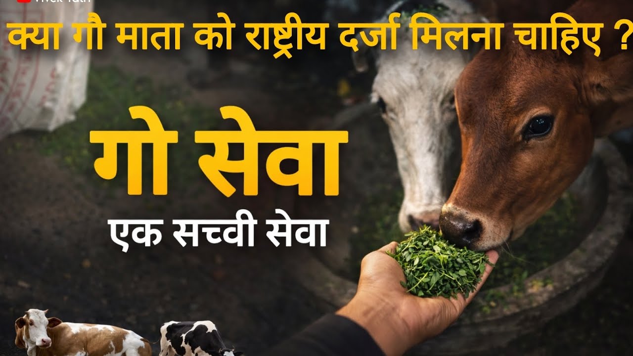 गौ सेवा Vlog 🐄 | सड़क पर भूखी गायों को हरा चारा खिलाया | सच्ची सेवा का अनुभव 
