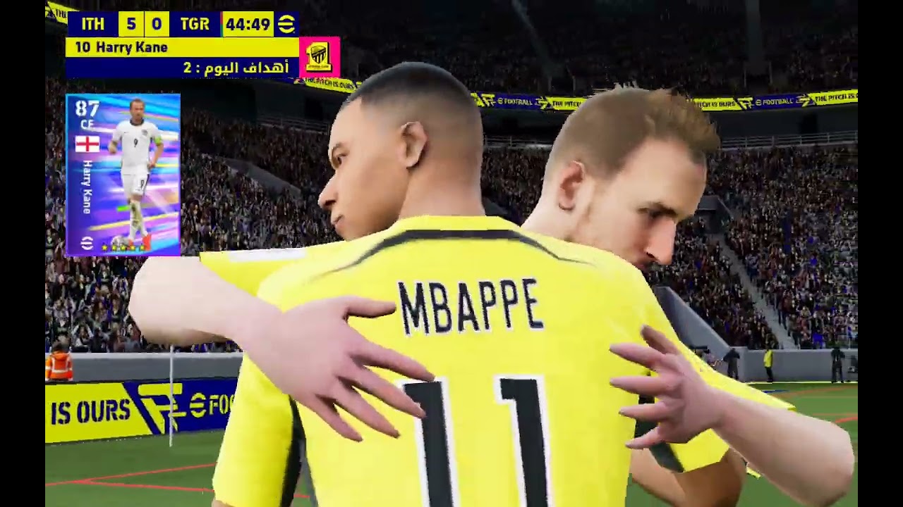 ١٣ فبراير ٢٠٢٦