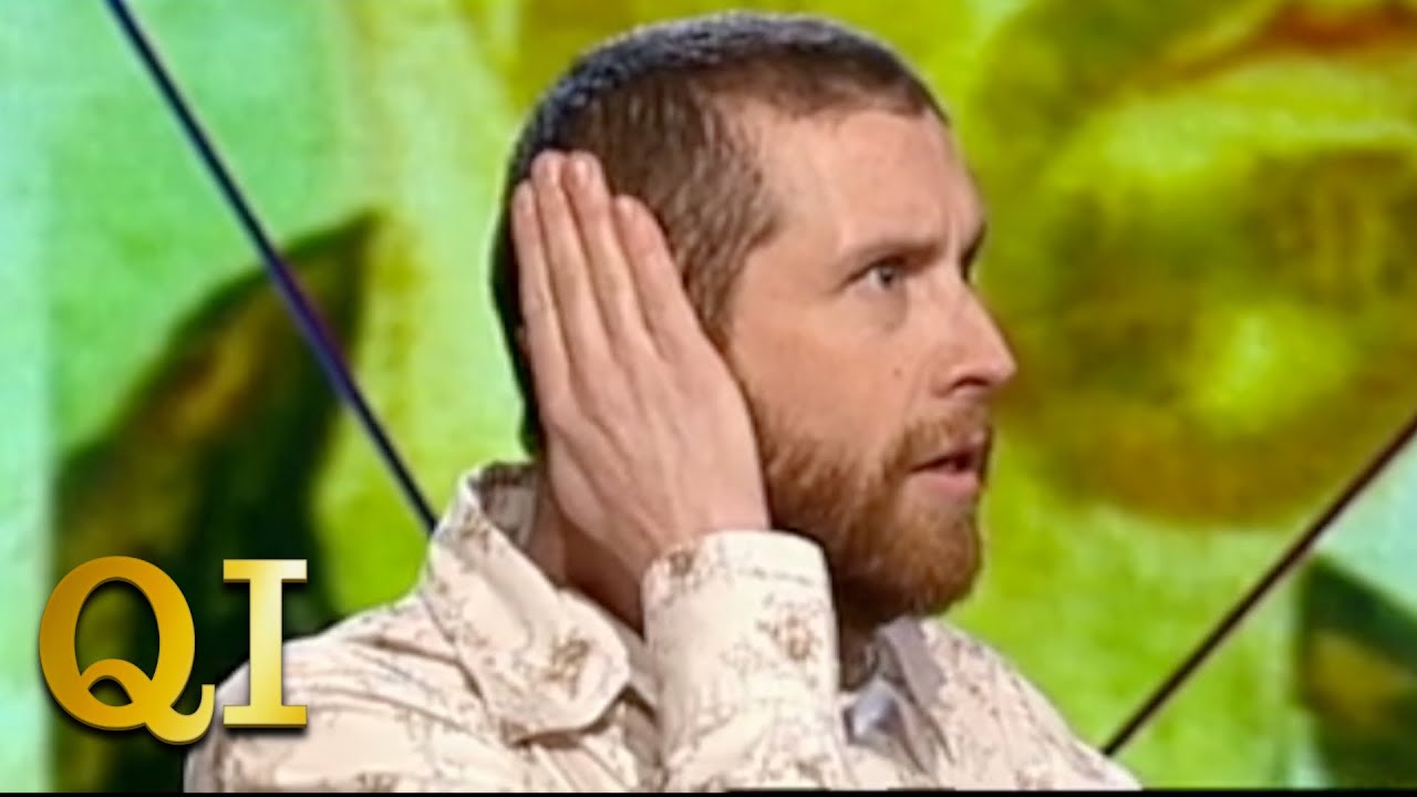 What's An Auricle? | QI