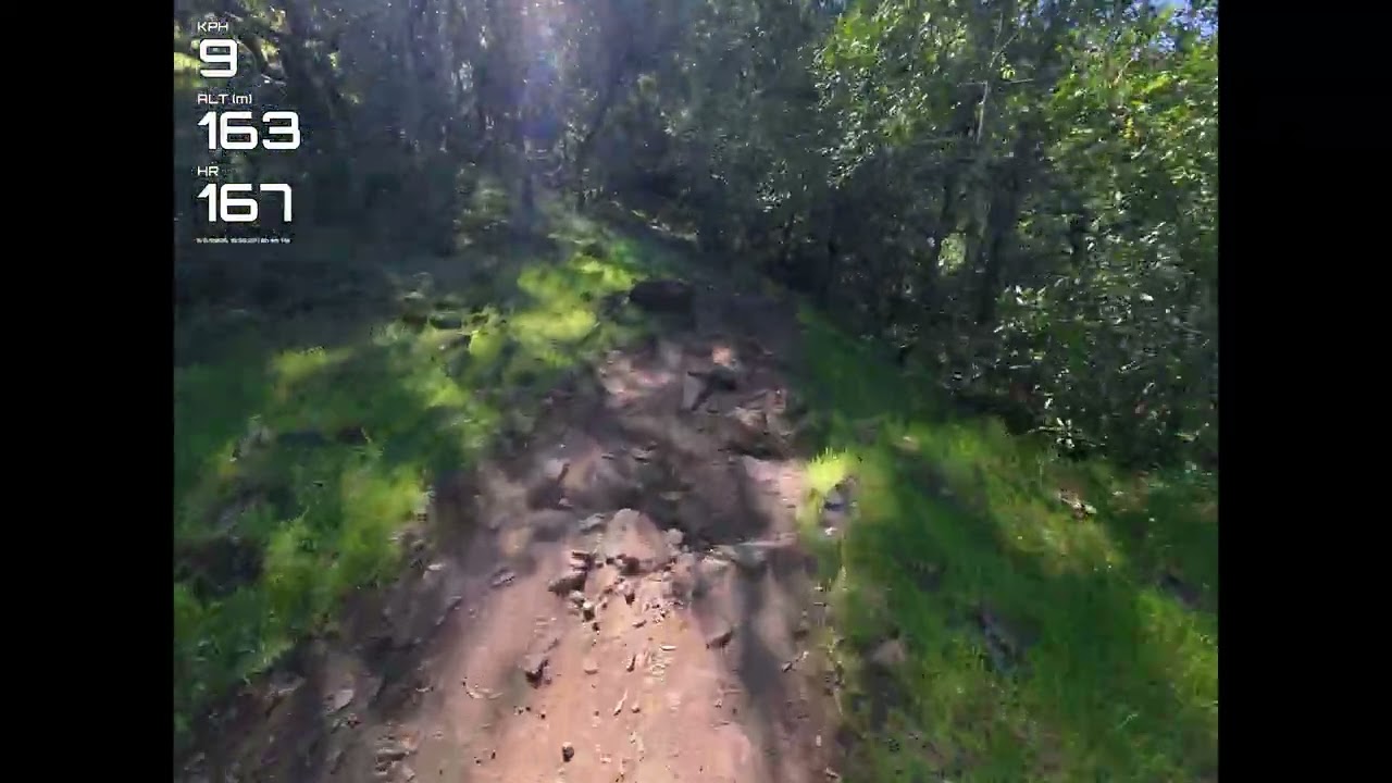 Annadel - North Burma Trail down
