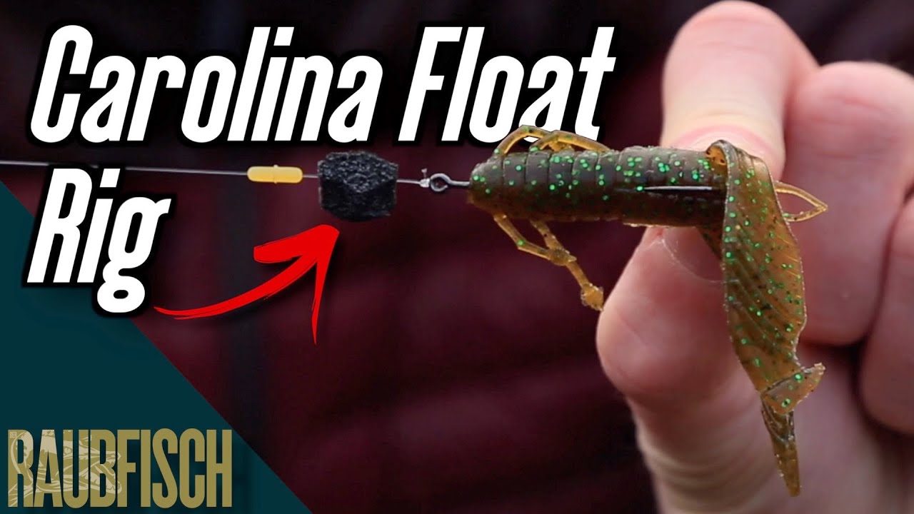 Das Carolina Float Rig - wir prüfen Fisch&Fang-Tipp