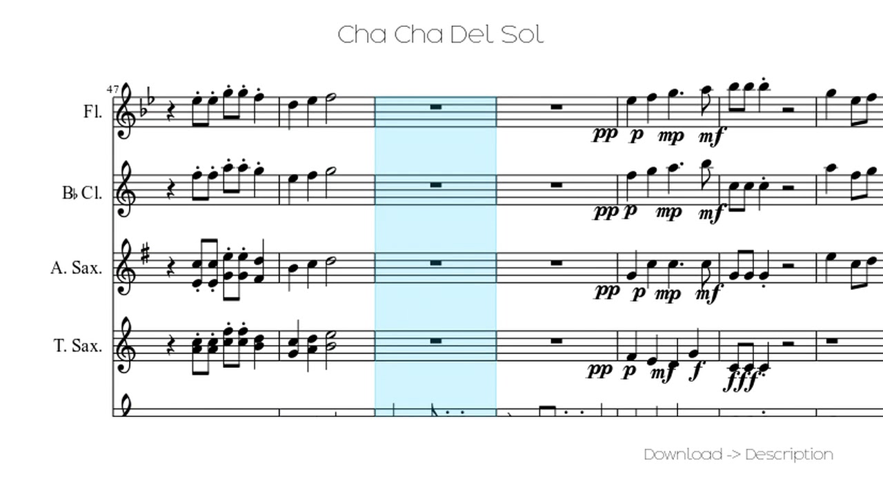 🎶 Cha Cha Del Sol 🎸🎸