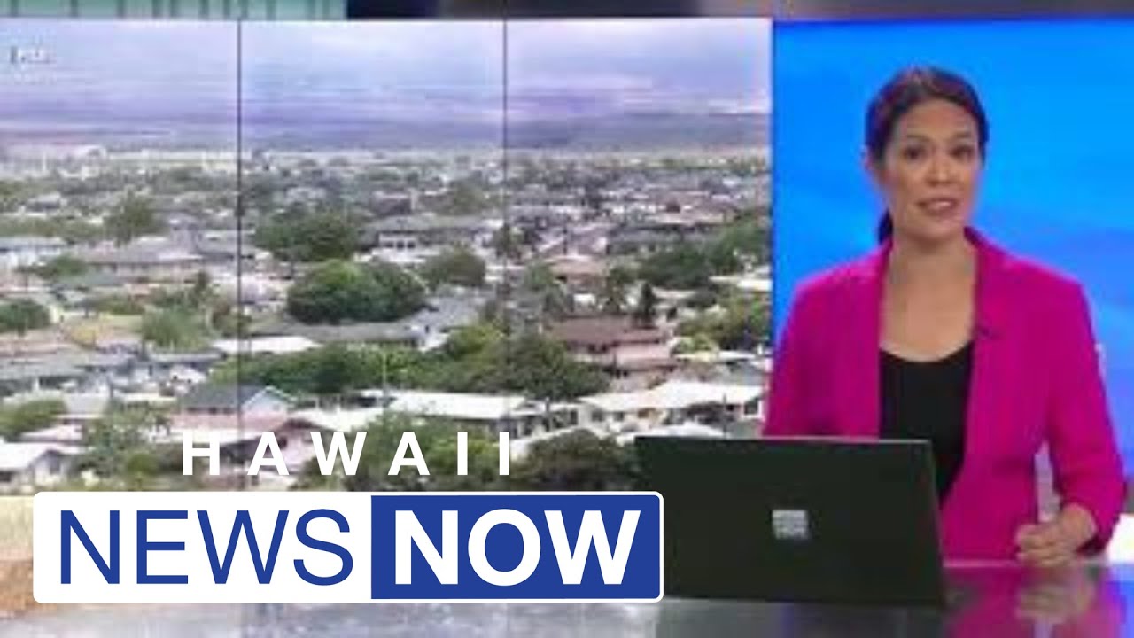 Vacation rental owners say punishing them won’t solve Maui’s housing crisis