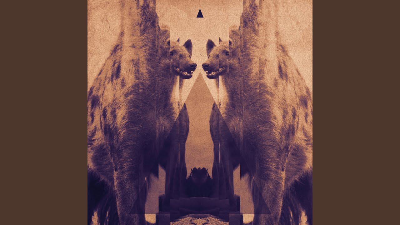 Rise