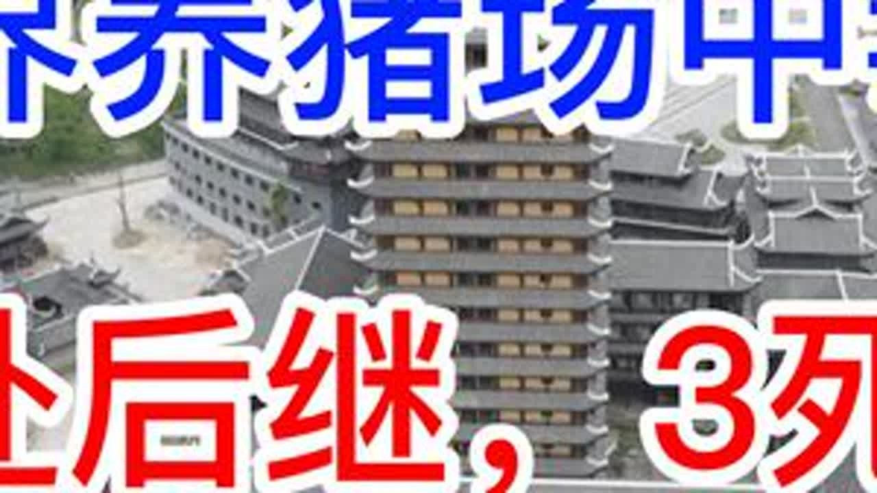 张家界养猪场中毒事故，前赴后继，3死1伤 #安全 #张家界