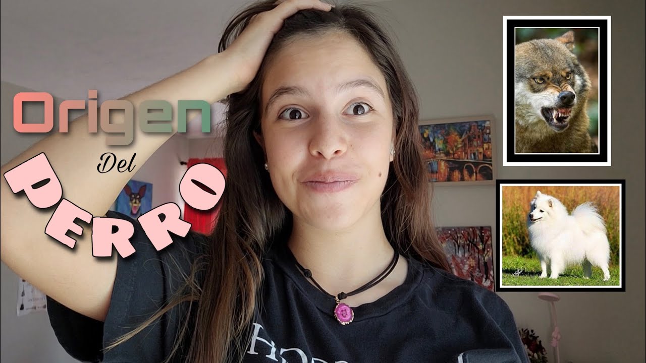 Origen del PERRO 🐕 &iquest;C&oacute;mo fue evolucionando con el TIEMPO? ⏱