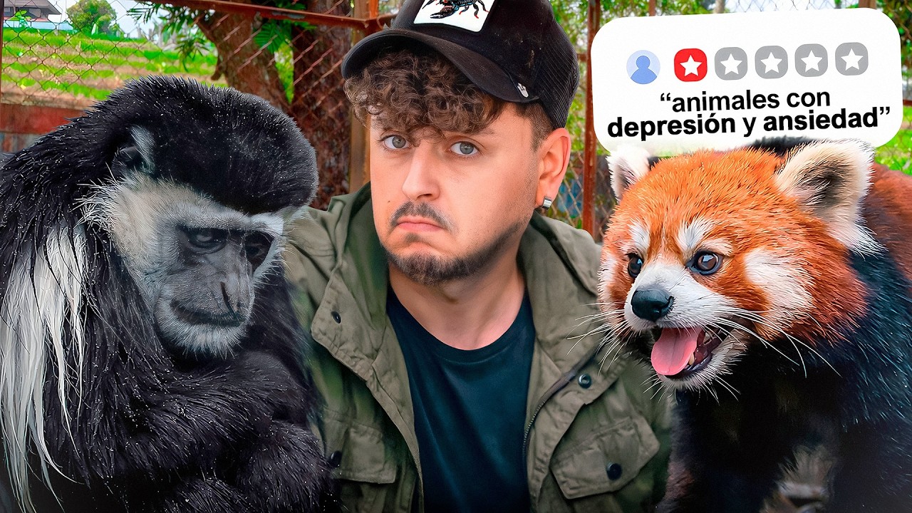 Por Qu&eacute; Este Zool&oacute;gico es un Desastre para los Animales 
