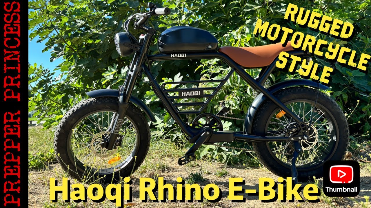 Haoqi Rhino Motorcycle Style E-Bike Review