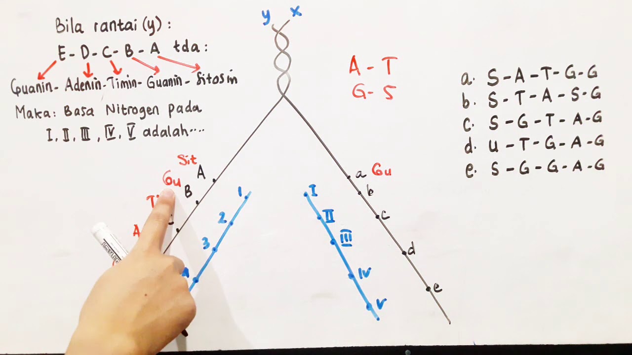 Basa Nitrogen - Soal dan Pembahasan