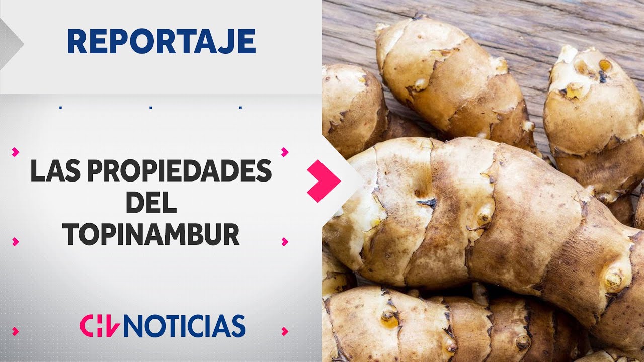 VIVIR MEJOR | Los secretos del TOPINAMBUR, la planta 