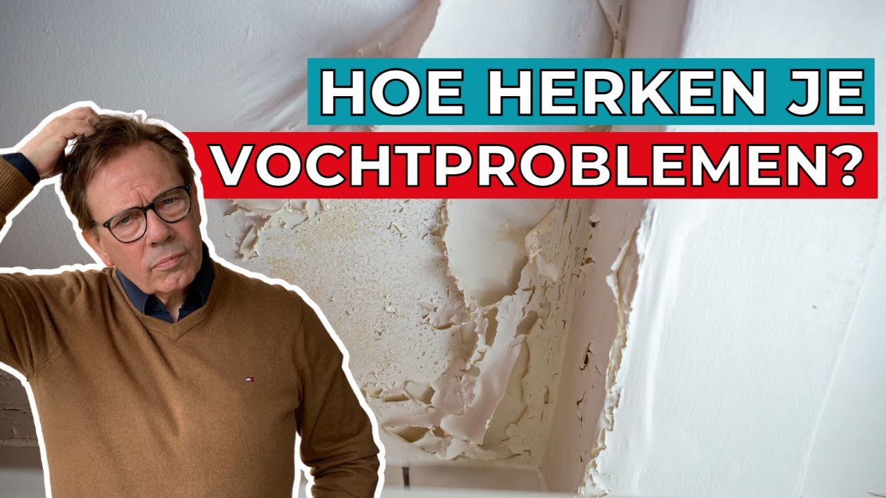 Vochtproblemen in huis - Slecht voor je gezondheid, wat kun je eraan doen en hoe herken je ze?