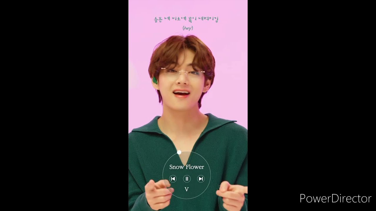 BTS (방탄소년단) ARMY Playlist- V Snow Flower