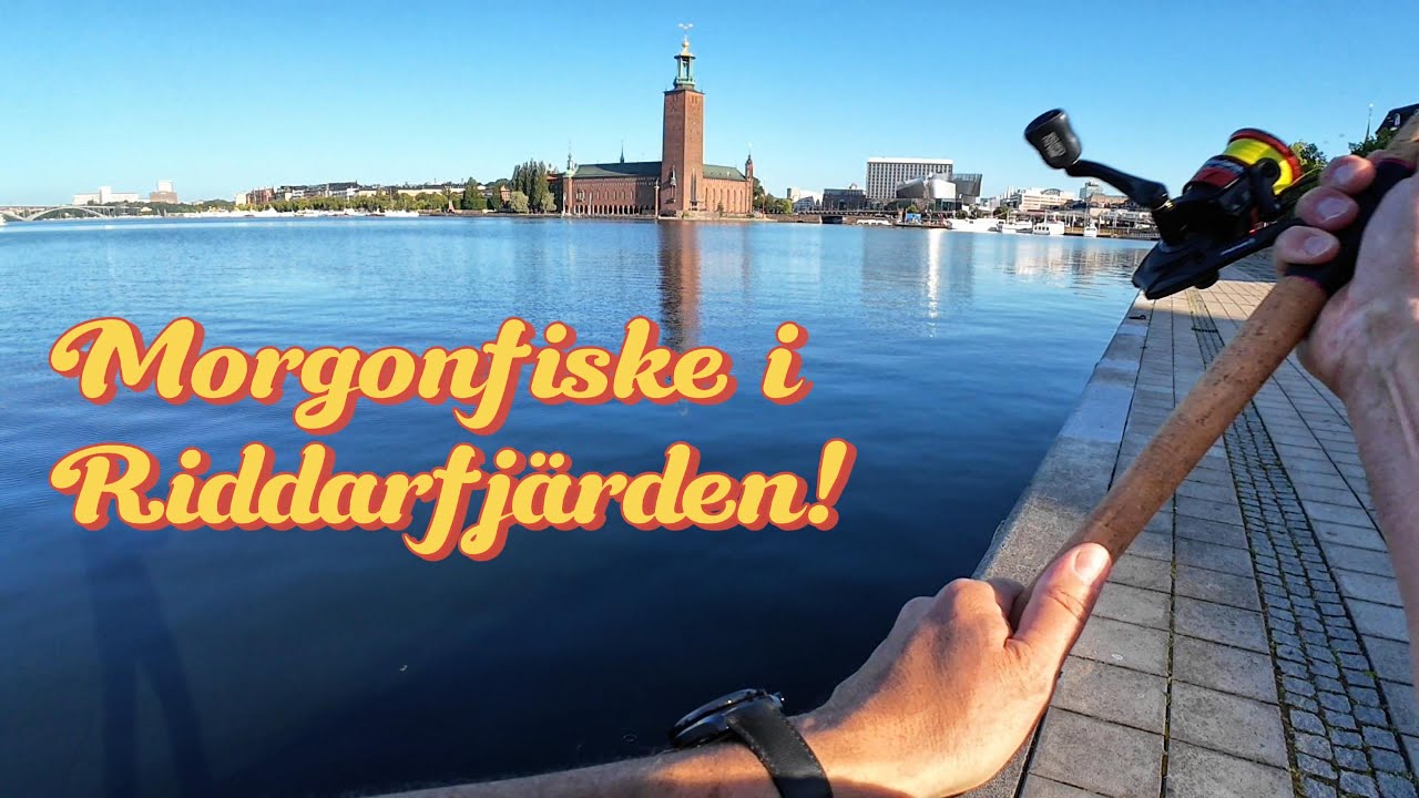 Fiskar i Riddarfjärden!