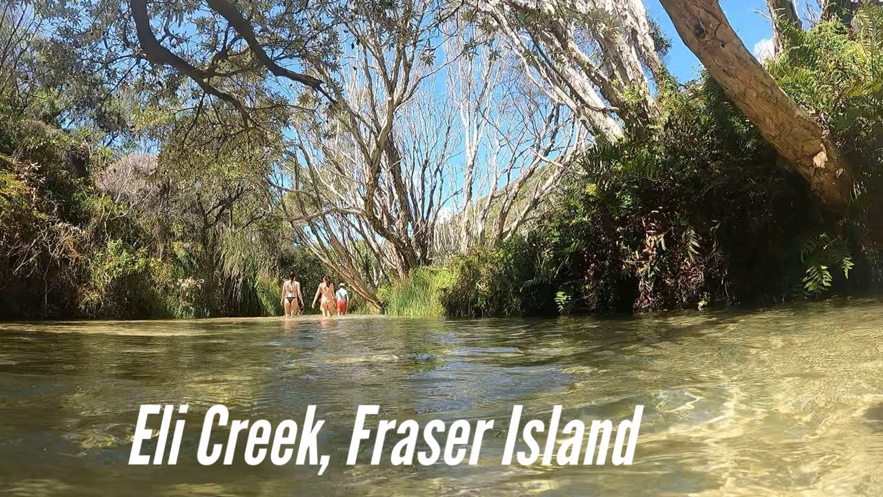 Eli Creek, Fraser Island- A walk above and below the crystal clear waters