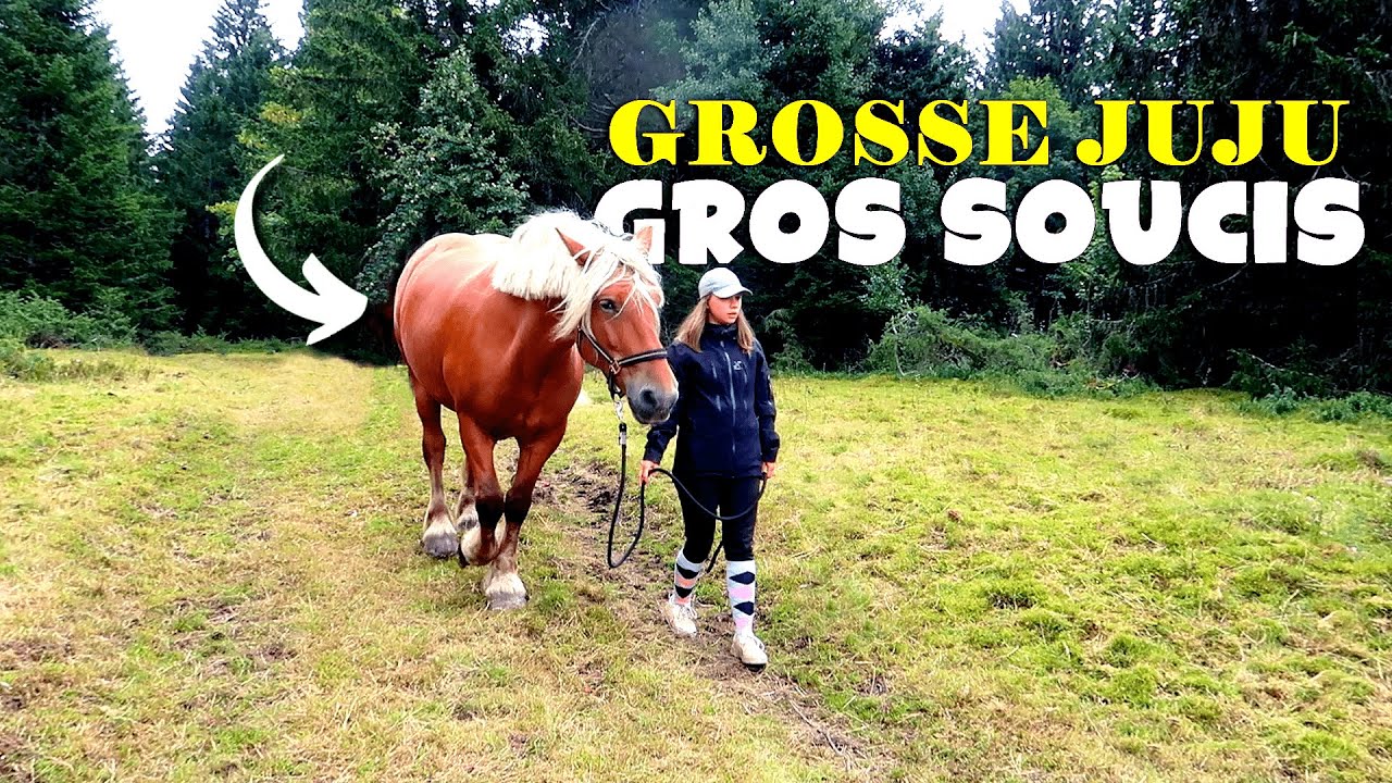 Il était PLUS QUE TEMPS ! (*pas de pieds pas de cheval 😬)
