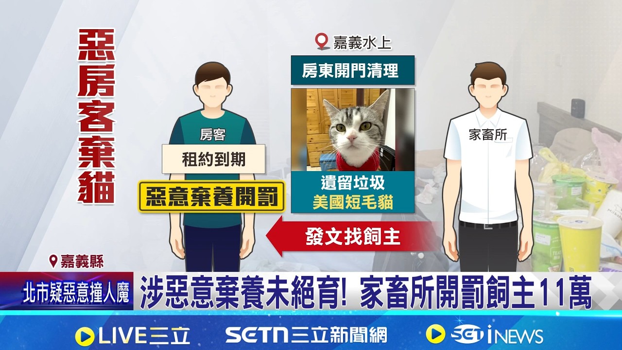 房客落跑欠租棄養貓 涉惡意棄養未絕育! 家畜所開罰飼主11萬 租約到房客棄養貓! 餓貓抓破飼料袋 喝馬桶水｜記者 廖國雄 朱怡蓉｜新聞一把抓20260325｜三立新聞台