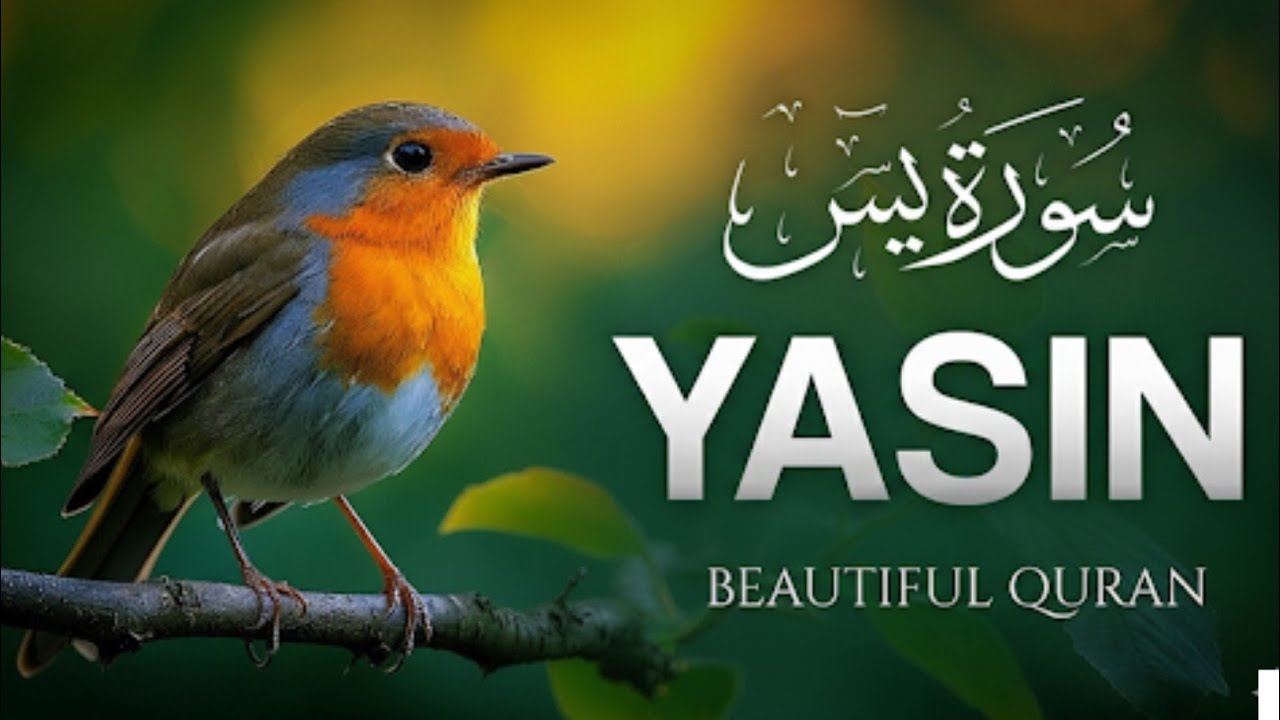 Surah Yaseen (سورة يس) | Most Beautiful & Heart Touching Quran Recitation | Peaceful Tilawat
