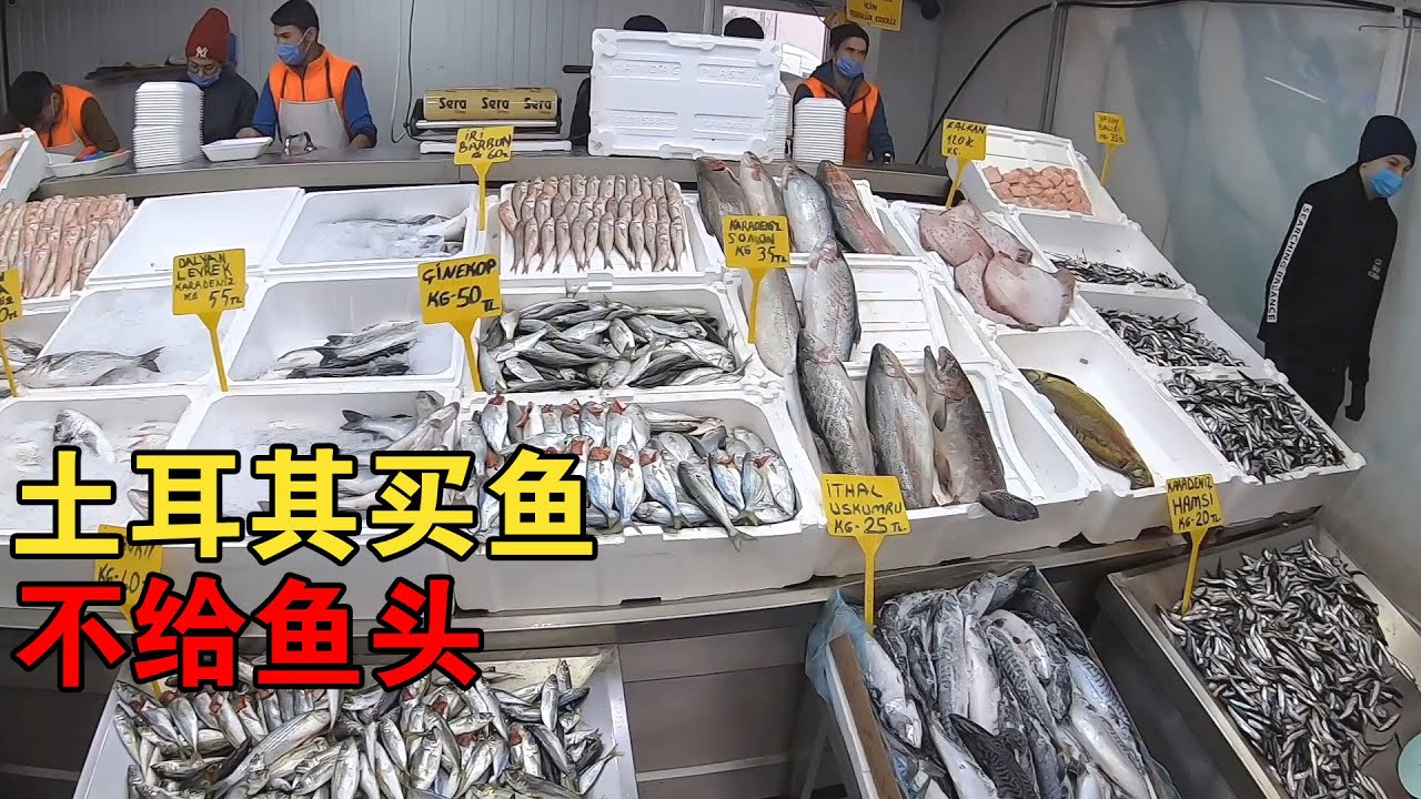 小伙在土耳其买鱼不给鱼头，做饭时电视播放中国嫦娥五号，满满自豪感【大橙子开车闯地球】