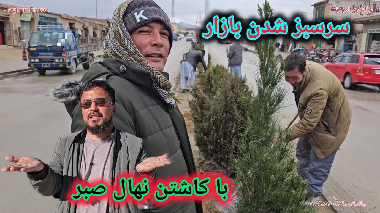 امروز بازار ما با کاشتن نهال صبر سرسبز شد