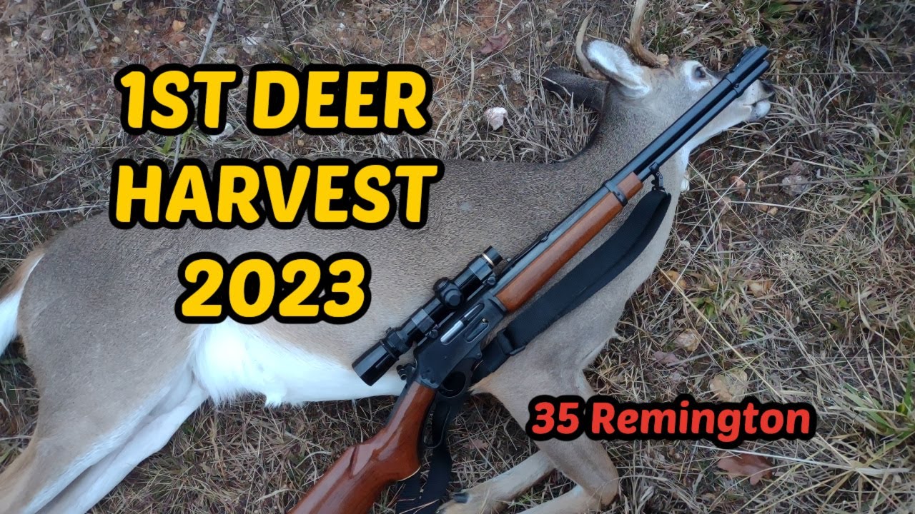 Первая добыча оленей в 2023 году — охота на оленей с 35 Remington!