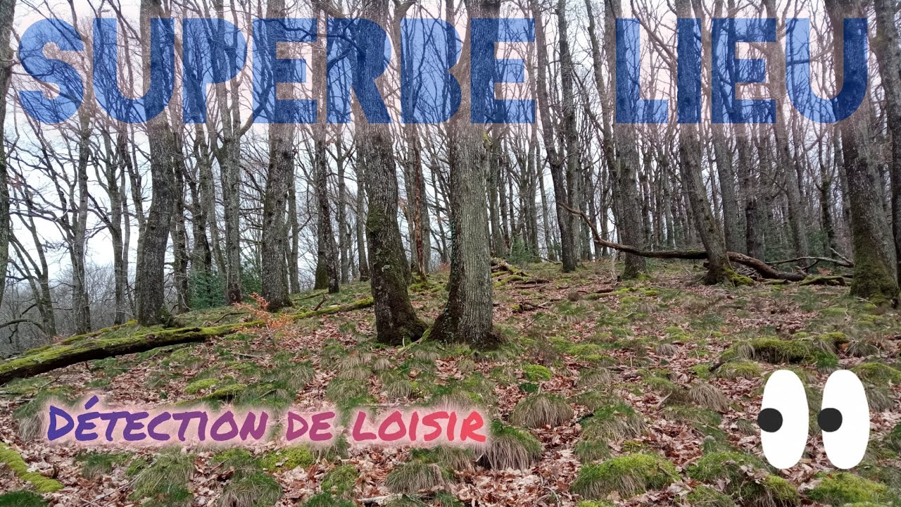 Toujours un régal de parcourir ces forêts 🥰