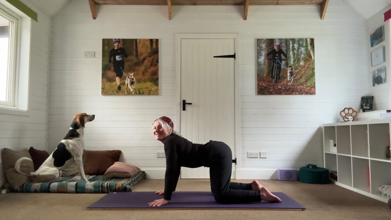 Yoga for Mountain Bikers - Revive