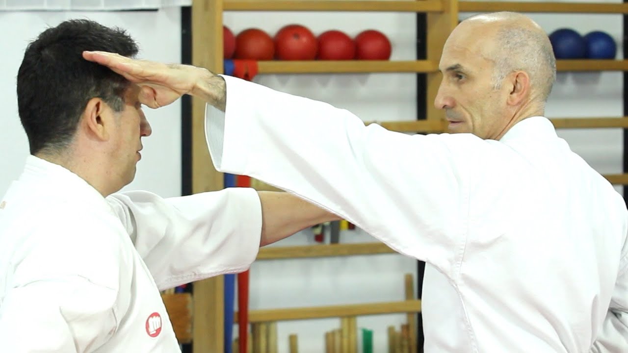 Renzoku waza y Kihon kumite - Aprende karate - Hasta cinturón azul - Sapeando