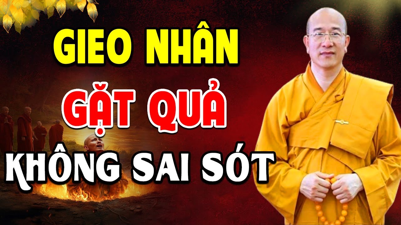 Luật Nhân Quả không chừa một ai , Ở Đời Đừng Gieo Nhân Xấu Mà Khổ l Thầy Thích Trúc Thái Minh