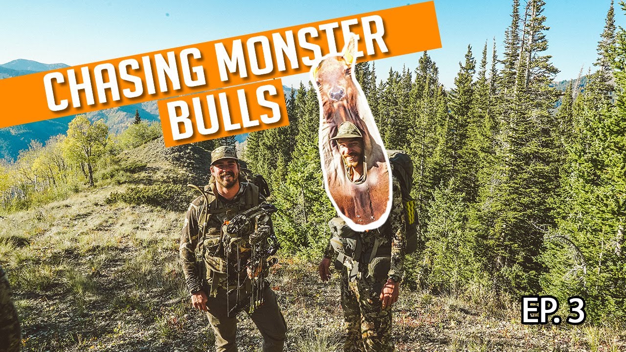 CHASING SCREAMING BULLS | The Elk are Everywhere! | Episode 3