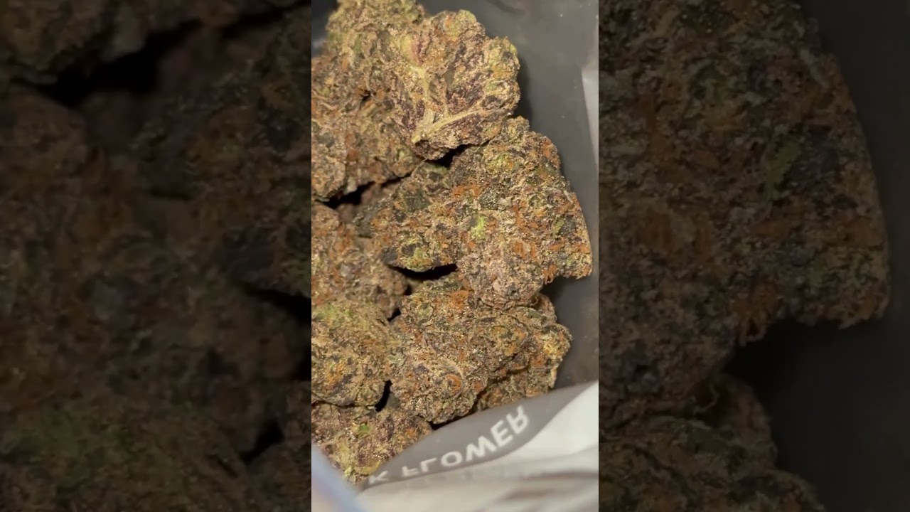 Best Looking Bud You&rsquo;ll See All Week 👀🌿  #TopShelf  #WeedPorn #Shorts #YouTubeShorts #SmokeSession
