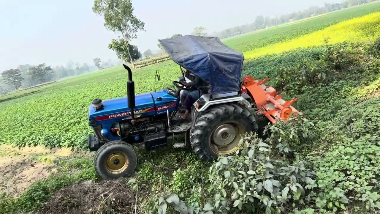 কৃষকের ছেলে কাজ না করলেও একটু করতে হয়।।। আলু শেষ।। এখন জমি চাষে ভুটা লাগাতে হবে।।